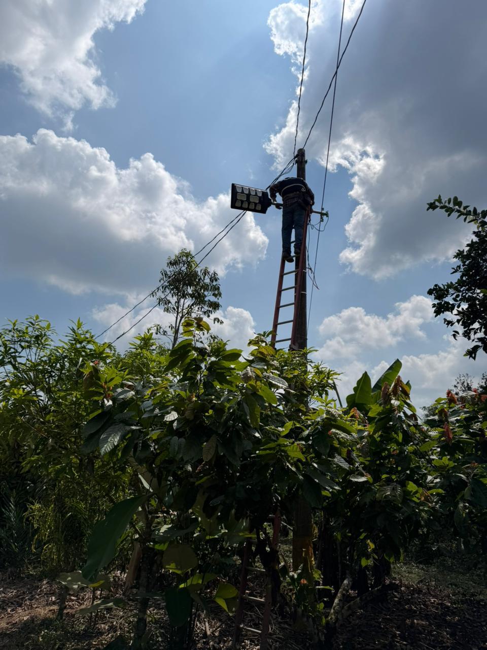 Instalación de alumbrado solar en zona agrícola